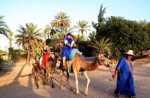 Skip the line at : Majorelle Garden and Palm Garden.