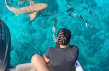 Multi-Activity Private Charter Boat in Key largo