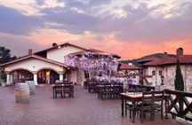  Kusadasi Shore Excursions Ephesus and Wine Tasting Tours 