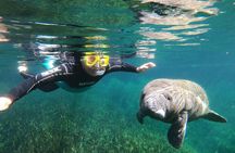 Crystal River Manatee Swim – 3 Hours, Maximum 6 Guests