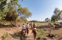 River Trail Horseback Riding Adventure