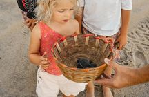 Baby Sea Turtle Release Tour in Puerto Escondido