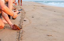 Baby Sea Turtle Release Tour in Puerto Escondido