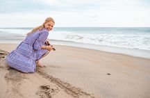 Baby Sea Turtle Release Tour in Puerto Escondido