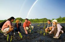 Volcano, Chocolate and Waterfalls of the Big Island