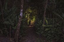 Ecogarden Arenal Night Walk 