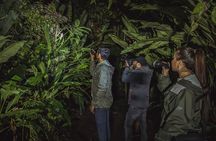 Ecogarden Arenal Night Walk 