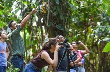 Ecogarden Arenal Sloth Tour 