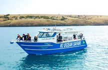 Kangaroo Island - Swim with Dolphins/Seals/Coastal Snorkel