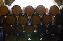 Private Adventure Day Tour in Tequila and Tequilera Cava de Oro