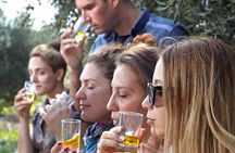 Bio Farm Private Olive Oil Tasting, Farm to Fork Meal & Temple of Poseidon Tour