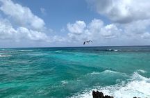 Full-Day Catamaran Cozumel Tour with Sky Snorkeling and Club