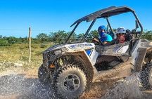 Short Excursion Super Buggy Adventure
