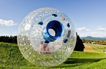 Zorb Inflatable Ball Ride from Mount Ngongotaha in New Zealand
