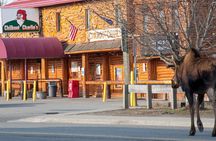  Spenard Neighborhood FOOD & TRUE CRIME Walking Tour