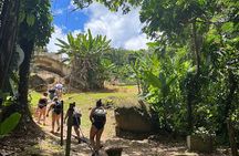 El Yunque Waterslide and Waterfall Tour with Food and Photos