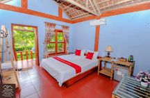 Ninh Binh 2 days 1 night in Homestay: Hoa Lu-Tam Coc- Bai Dinh-Trang An 