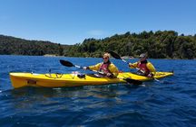 Multisport: Moreno Lake Kayaking and Mirador del Tristeza Hiking