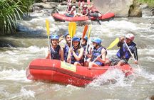 Bali Rafting with Tegalalang Rice Terrace Jungle Swing Ubud