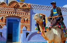Trip To Nubian Village by motorboat From Aswan