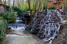 Daily Sapanca Lake & Masukiye Tour - Group Tour Basis