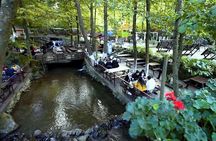 Daily Sapanca Lake & Masukiye Tour - Group Tour Basis