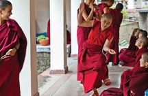 Guided Tibetan Culture Walk at Norbulingka,Gyuto and Nunnery