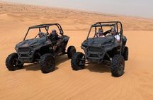 Desert Safari with 30 Minutes Dune Buggy on High Red Dunes in Dubai