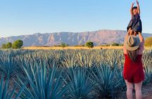 Private Full-Day Tour to Tequila Pueblo Magico
