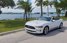 French tour of Miami in convertible mustang