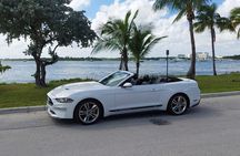 French tour of Miami in convertible mustang