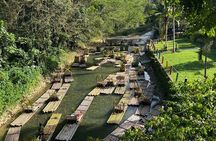 Half-Day Tour Rafting on the Great River with Limestone Foot Massage