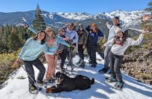 Half Day Snowshoe Hike in Tahoe National Forest