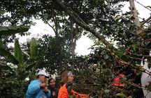 Salkantay Trek 5D/4N - Adventure Hike to Machu Picchu