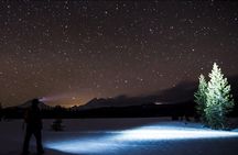 Tahoe National Forest Moonlight Snowshoe Tour Under a Starry Sky