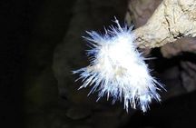 El Soplao Cave Visit with entrance ticket- small groups