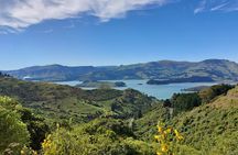 Lyttelton Shore Excursion: Christchurch Sightseeing with Jet Boating