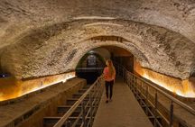 Private Day Adventure through the Guadalajara Museums and Michin Aquarium