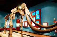 Private Day Adventure through the Guadalajara Museums and Michin Aquarium