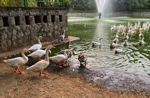 Heritage Delhi Private Walking & Shopping Tour