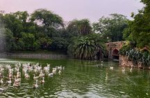 Heritage Delhi Private Walking & Shopping Tour