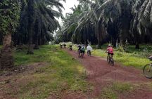 Countryside Cycling Tour. T1.0 by Matahari