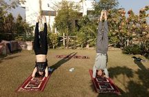 Yoga tour in Jaipur
