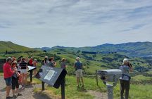 Lyttelton Shore Excursion: Twin Harbour Tour (Lyttelton & Akaroa)