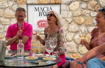 Discover the varieties of wines, olive oil and food on Mallorca