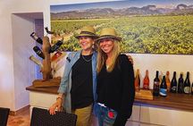 Discover the varieties of wines, olive oil and food on Mallorca
