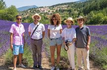 Provence Lavender Fields Tour from Aix-en-Provence