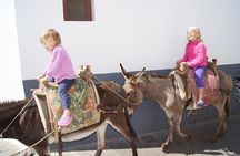 Full-Day Rhodes Island and Local Culture Shore Excursion