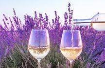 Provence small group half-day wine tour from Aix