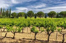 Provence small group half-day wine tour from Aix